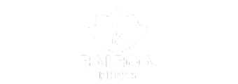 Balboa logo
